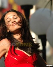 Hot Nisha Kothari Pictures 23 Hot Nisha Kothari Pictures 23