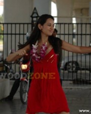 Hot Nisha Kothari Pictures 33 Hot Nisha Kothari Pictures 33