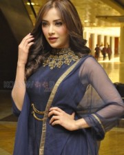 Indian Polish Actress Angela Krislinzki Photos 01