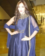 Indian Polish Actress Angela Krislinzki Photos 02