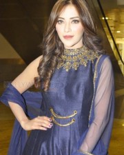 Indian Polish Actress Angela Krislinzki Photos 03