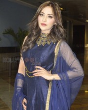 Indian Polish Actress Angela Krislinzki Photos 08