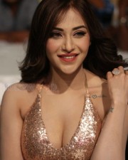 Indian Polish Actress Angela Krislinzki Sexy Photos 28