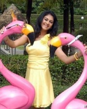 Kamna Jethmalani Hot Pictures 20 Kamna Jethmalani Hot Pictures 20