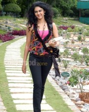 Kamna Jethmalani Hot Pictures 50 Kamna Jethmalani Hot Pictures 50