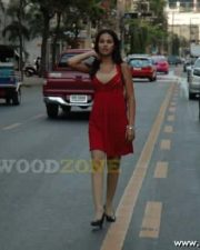 Nisha Kothari Hot Pics 007