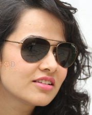 Nisha Kothari Pictures 31