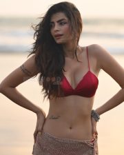 Sensual Sonali Raut in a Bold Two Piece Bikini Photos 03