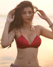 Sensual Sonali Raut in a Bold Two Piece Bikini Photos 04