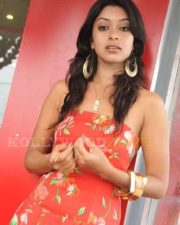 Sexy Actress Payal Ghosh Stills 13