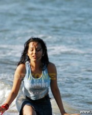 Sexy Nisha Kothari Pictures 10