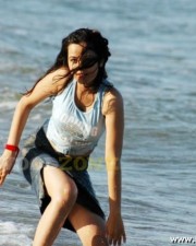 Sexy Nisha Kothari Pictures 12