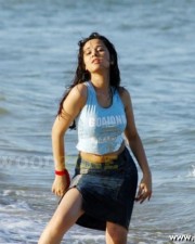 Sexy Nisha Kothari Pictures 14