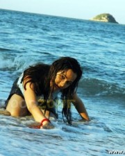Sexy Nisha Kothari Pictures 22