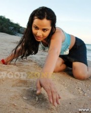 Sexy Nisha Kothari Pictures 26