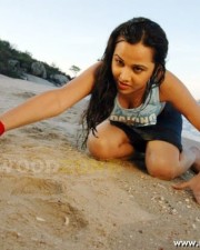 Sexy Nisha Kothari Pictures 27