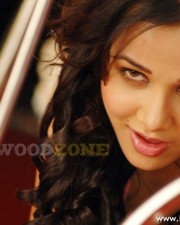 Sexy Nisha Kothari Pictures 48
