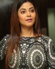 Actress Meera Chopra New Photos 15 Actress Meera Chopra New Photos 15