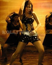 Appatha Actress Kaveri Jha Sexy Pictures 21