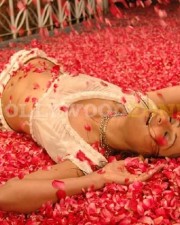Appatha Actress Kaveri Jha Sexy Pictures 47