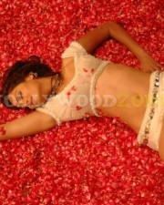 Appatha Actress Kaveri Jha Sexy Pictures 53