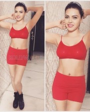 Indian Glamour Model Sherlyn Chopra Sexy Hot Photos 17