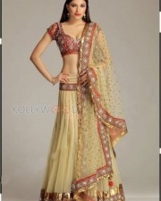 Miss India 2008 Parvathy Omanakuttan Pictures 08 Miss India 2008 Parvathy Omanakuttan Pictures 08