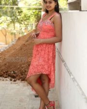 Tollywood Actress Megha Shree Spicy Pictures 22