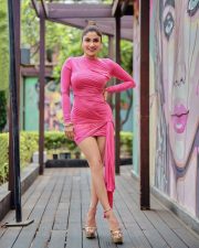 Wild Wild Punjab Actress Ishita Raj Sharma in a Pink Dress Photos 03