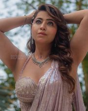 Opulent Ridheema Tiwari Cleavage in a Mauve Embroidered Bustier Saree Diamond Jewelry Photos 02 Opulent Ridheema Tiwari Cleavage in a Mauve Embroidered Bustier Saree Diamond Jewelry Photos 02