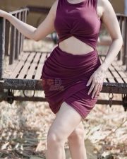 Extra Ordinary Man Actress Priyanka Kholgade in a Maroon Cut Out Bodycon Dress Photos 03