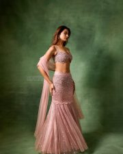 Mesmerizing Shruti Chauhan in a Traditional Pink Embellished Lehenga with an Embroidered Crop Top and Flowing Skirt Photos 02 Mesmerizing Shruti Chauhan in a Traditional Pink Embellished Lehenga with an Embroidered Crop Top and Flowing Skirt Photos 02