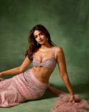 Mesmerizing Shruti Chauhan in a Traditional Pink Embellished Lehenga with an Embroidered Crop Top and Flowing Skirt Photos 04 Mesmerizing Shruti Chauhan in a Traditional Pink Embellished Lehenga with an Embroidered Crop Top and Flowing Skirt Photos 04
