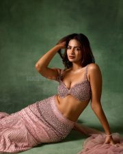 Mesmerizing Shruti Chauhan in a Traditional Pink Embellished Lehenga with an Embroidered Crop Top and Flowing Skirt Photos 05 Mesmerizing Shruti Chauhan in a Traditional Pink Embellished Lehenga with an Embroidered Crop Top and Flowing Skirt Photos 05