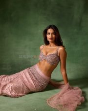 Mesmerizing Shruti Chauhan in a Traditional Pink Embellished Lehenga with an Embroidered Crop Top and Flowing Skirt Photos 06 Mesmerizing Shruti Chauhan in a Traditional Pink Embellished Lehenga with an Embroidered Crop Top and Flowing Skirt Photos 06