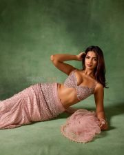 Mesmerizing Shruti Chauhan in a Traditional Pink Embellished Lehenga with an Embroidered Crop Top and Flowing Skirt Photos 08 Mesmerizing Shruti Chauhan in a Traditional Pink Embellished Lehenga with an Embroidered Crop Top and Flowing Skirt Photos 08