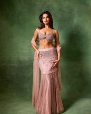 Mesmerizing Shruti Chauhan in a Traditional Pink Embellished Lehenga with an Embroidered Crop Top and Flowing Skirt Photos 10 Mesmerizing Shruti Chauhan in a Traditional Pink Embellished Lehenga with an Embroidered Crop Top and Flowing Skirt Photos 10