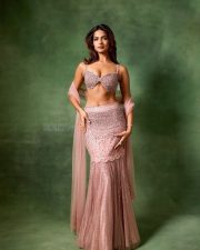 Mesmerizing Shruti Chauhan in a Traditional Pink Embellished Lehenga with an Embroidered Crop Top and Flowing Skirt Photos 10 Mesmerizing Shruti Chauhan in a Traditional Pink Embellished Lehenga with an Embroidered Crop Top and Flowing Skirt Photos 10