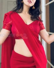 Ravishing Priyanka Kholgade Cleavage in a Red chiffon saree with red floral brocade V neck blouse Photos 03
