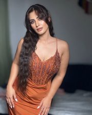 Captivating Actress Shivangi Verma in a Burnt Orange Embroidered Corset Spaghetti Gown Photos 02