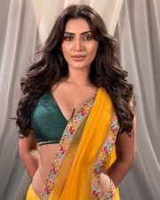 Dazzling Shivangi Verma in a Yellow Saree with a Printed Border and Green Blouse Photos 02