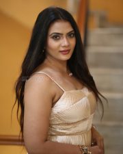 Heroine Anupama Prakash at Mr Reddy Pre Release Event Photos 01