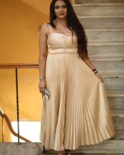 Heroine Anupama Prakash at Mr Reddy Pre Release Event Photos 11