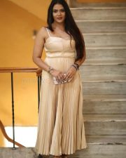 Heroine Anupama Prakash at Mr Reddy Pre Release Event Photos 12