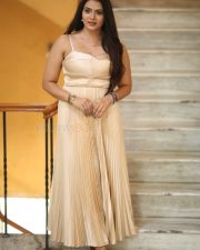 Heroine Anupama Prakash at Mr Reddy Pre Release Event Photos 14
