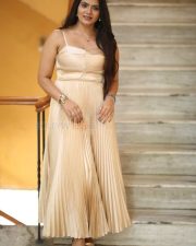 Heroine Anupama Prakash at Mr Reddy Pre Release Event Photos 15