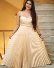 Heroine Anupama Prakash at Mr Reddy Pre Release Event Photos 17