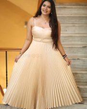 Heroine Anupama Prakash at Mr Reddy Pre Release Event Photos 17