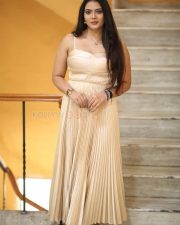 Heroine Anupama Prakash at Mr Reddy Pre Release Event Photos 19