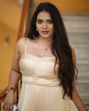 Heroine Anupama Prakash at Mr Reddy Pre Release Event Photos 26